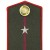 Офицеры, полевые погоны. Командный состав.